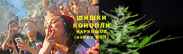 прущие грибы Дмитровск