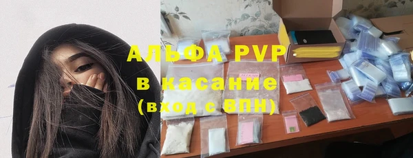 СК Дмитров