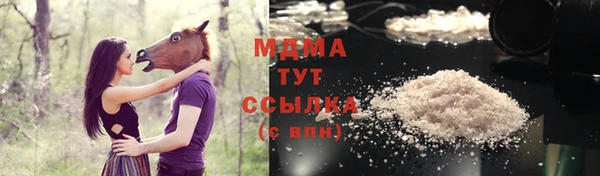прущие грибы Дмитровск