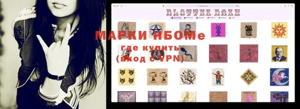 СК Дмитров