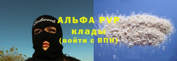 прущие грибы Дмитровск