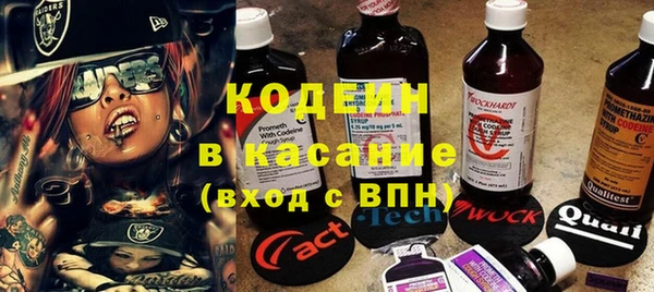прущие грибы Дмитровск