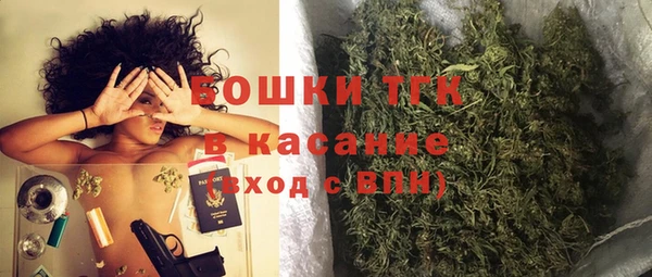 прущие грибы Дмитровск