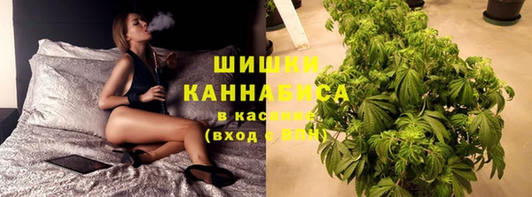 СК Дмитров