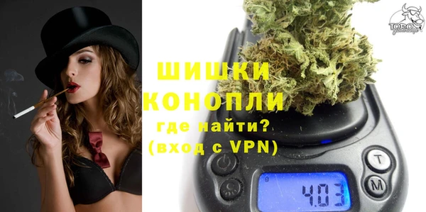 прущие грибы Дмитровск