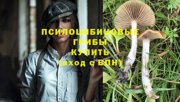 jwh Дмитриев